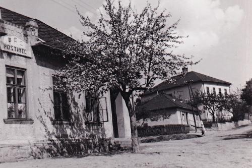 Provodov