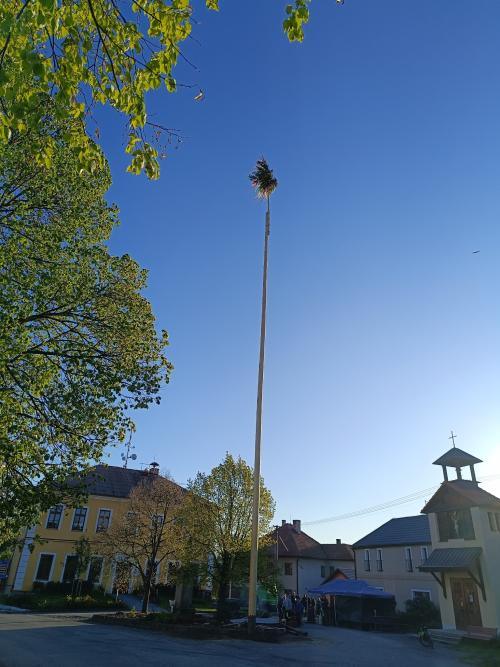 Stavění máje 26.4.2025